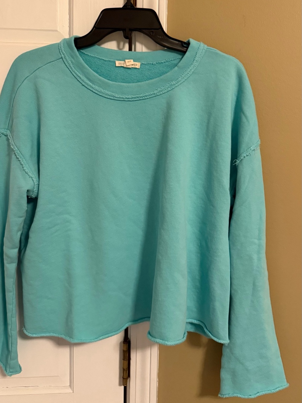 Eileen Fisher oversized sz XS Light Teal Crewneck Sweatshirt